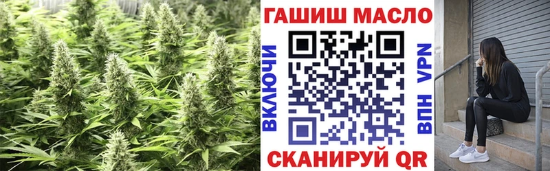 Купить  Котельники  ТГК концентрат 