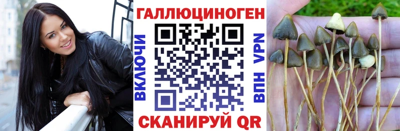 Галлюциногенные грибы мухоморы  Купить закладки  Котельники 